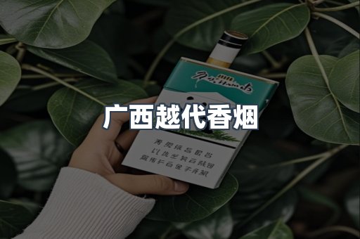 越南香烟系列